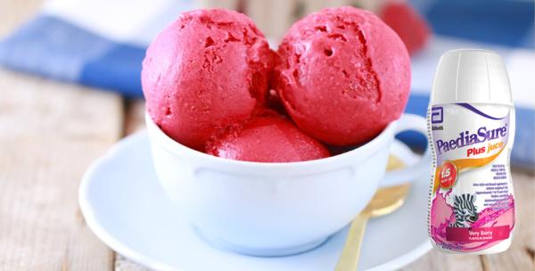Zingy Zebra's Very Berry Sorbet (Serves 6) - Paediasure Plus Juce Verry Berry flavour